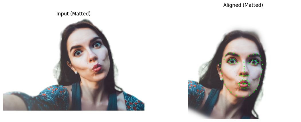 Aligned face for FLAME fitting